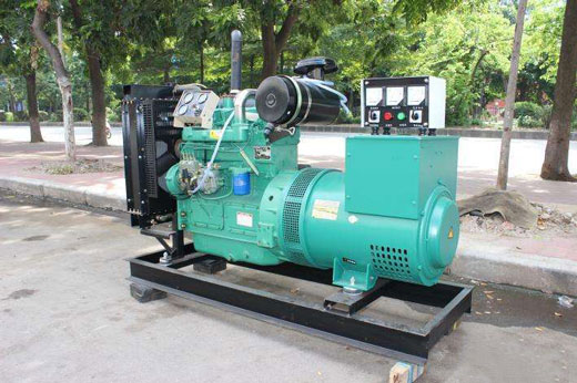 调楼镇发电机不发电的原因